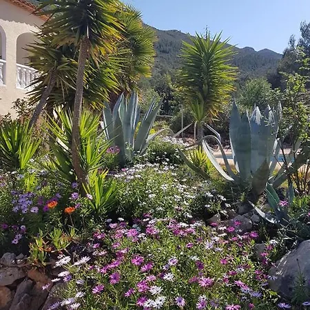 Sueno Grande Pensionat Lliber