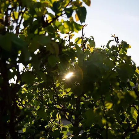 Sueno Grande Pensionat