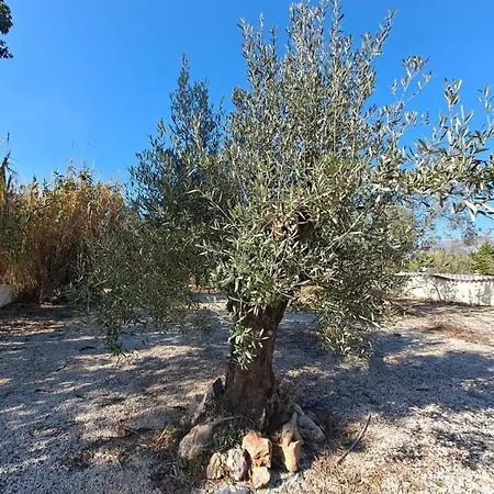 Sueno Grande Pensionat