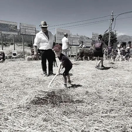 Sueno Grande Pensionat